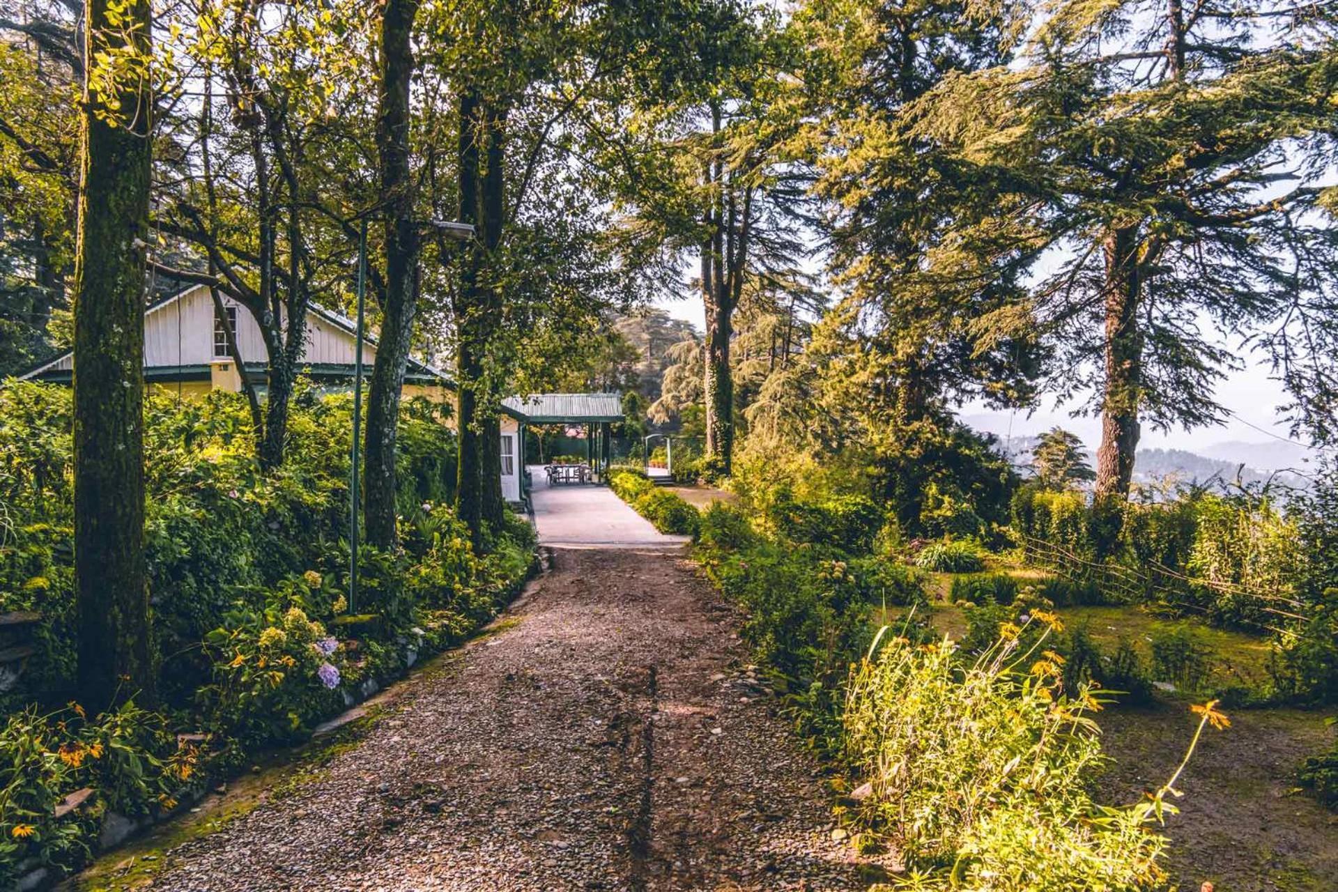 Stayvista At Rose Cottage - Bonfire & Scenic View Σίμλα Εξωτερικό φωτογραφία